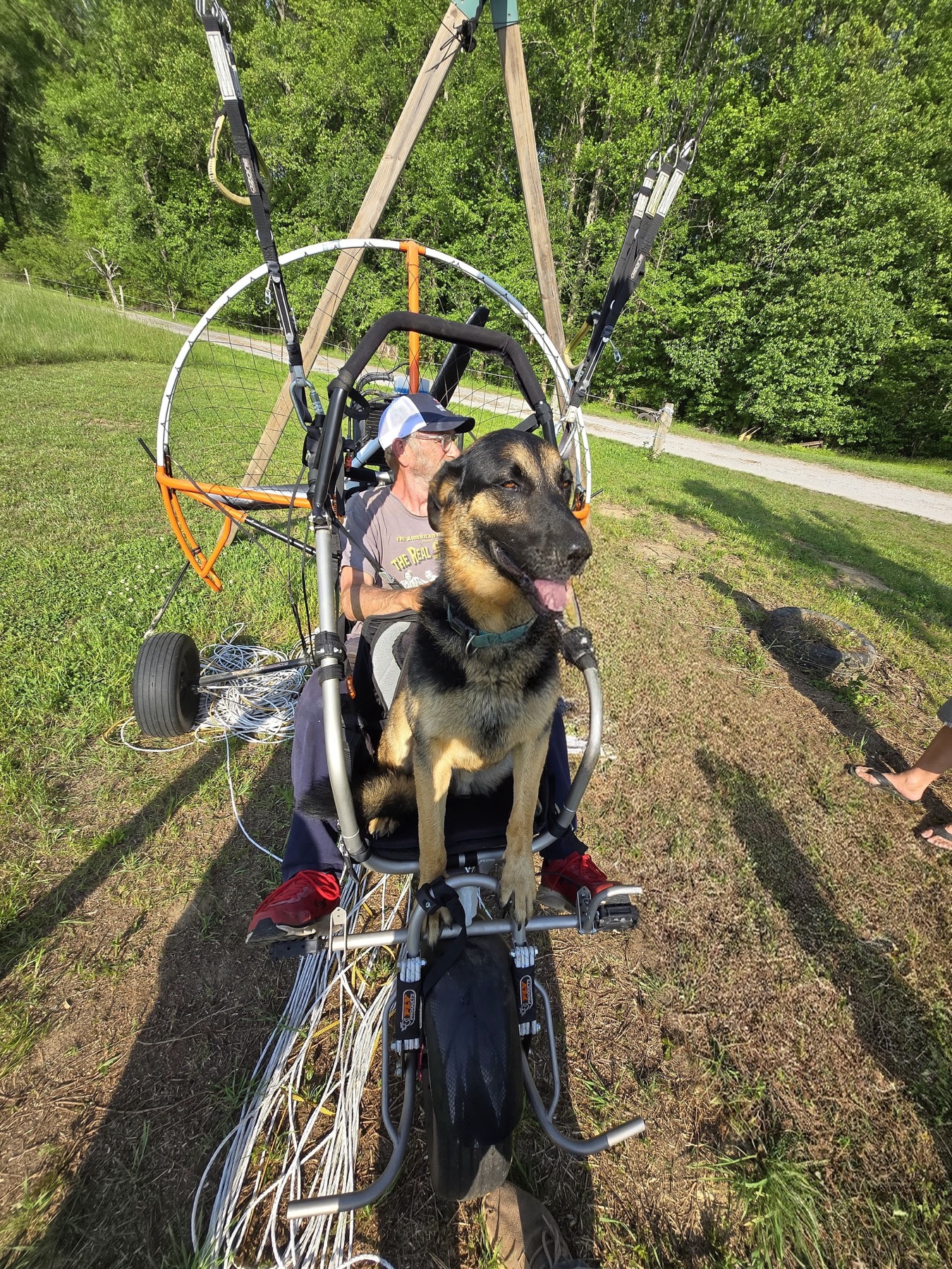 Captain the dog sitting in a paramotor trike at Flying Changes Farm