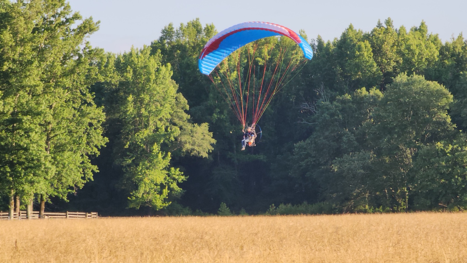 Paramotor framed under trees near the farm runway